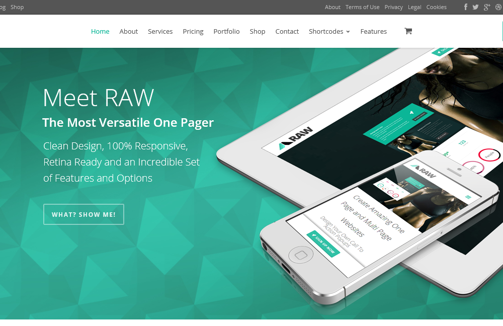 RAW: One and Multi Page Multipurpose Theme