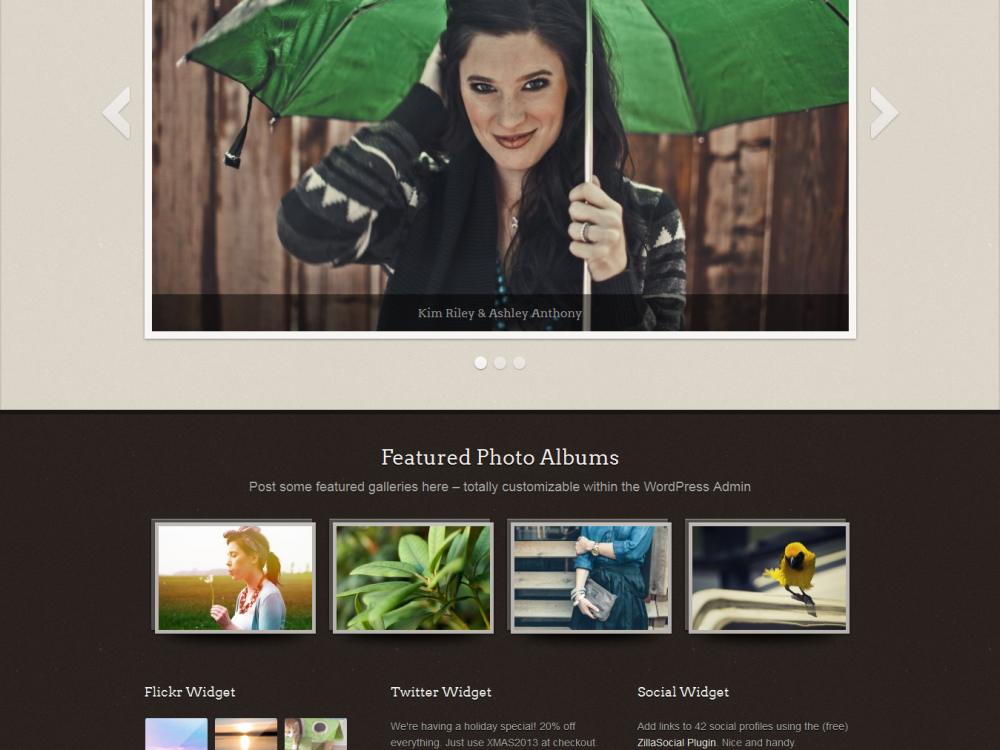 ShutterBug: Responsive Photography WordPress Theme
