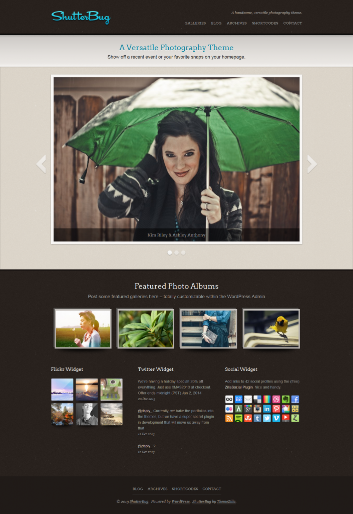 ShutterBug: Responsive Photography WordPress Theme